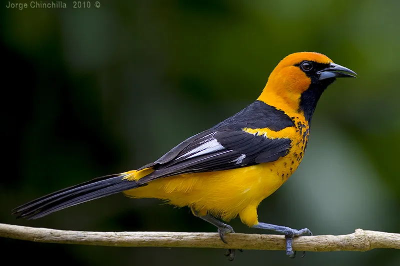 La Garita de Alajuela, Costa Rica