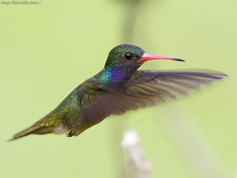 La Garita, Alajuela, Costa Rica, Central America