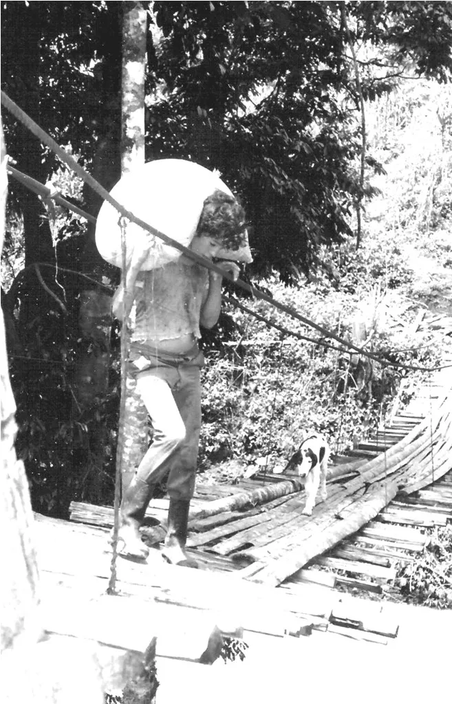 Foto