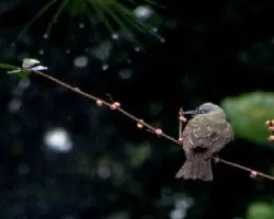 Cuando llueve todos se mojan.