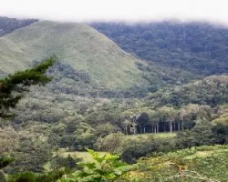 Zona de las Mellizas Coto Brus.