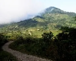 Camino al cerro el Paraguas.