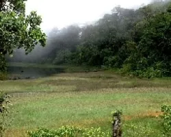 Laguna Gamboa.(humedal)