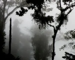 Cerro nebuloso.
