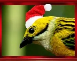 Feliz navidad.