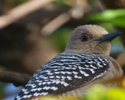 Brrr... que viento!!