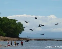 Hora de almuerzo