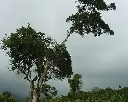 Parte de un camino