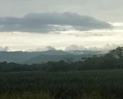 Lugar de Piña