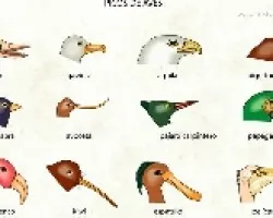 archivo3