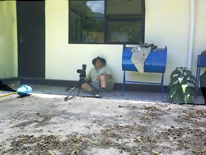 Foto