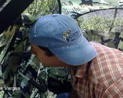Desde adentro