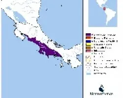 Distres`p