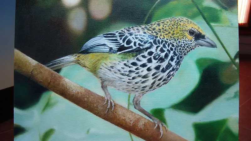 Foto