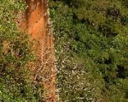 Chapada dos GuimaríÂ£es 