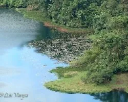 Laguna de Hule