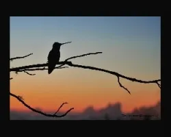 magnifico atardecer