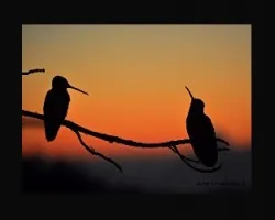 magnifico atardecer