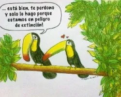 Te perdono solo por...