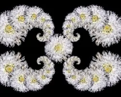 Fractal