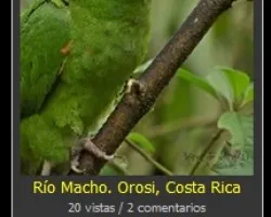 Marcar como vista