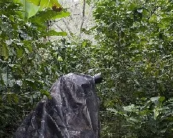 Camuflaje