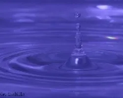 Gota