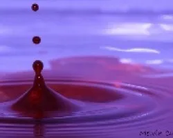Gota