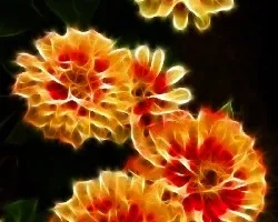 Fractal 1
