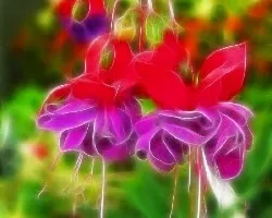 Fractal 2