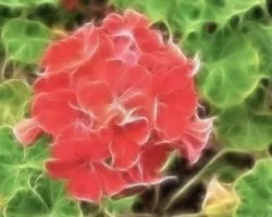 Flor 3