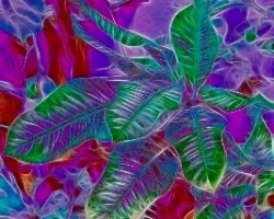 Fractal Alegre