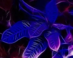 Fractal azul