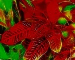 Fractal rojo