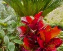 Fractal 1