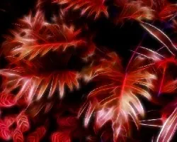 Fractal 2