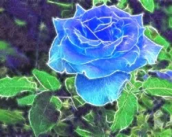 Fractal de rosa celeste