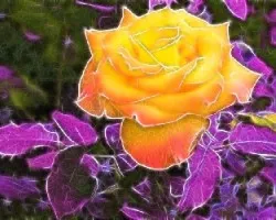 Fractal de rosa amarilla