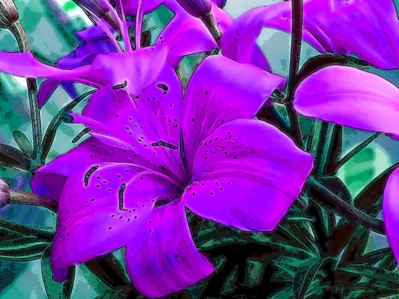 Foto