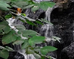 Caida de agua 2