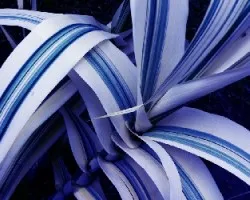 Pintando con azul