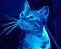 Fractal de Gato en Azul