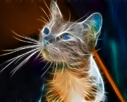 Fractal del Gato de ojos celestes