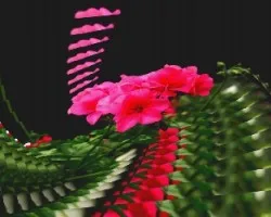 Geranio en fractal