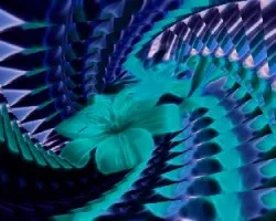 Lirio celeste en fractal