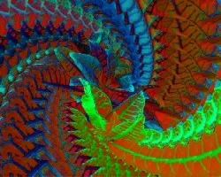 Había una vez unas hojas de Croton