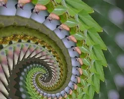 Había una vez un colibrí
