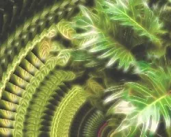 Doble fractal de Mano de tigre 