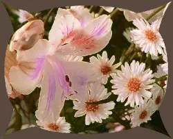 Flores Mini en óvalo