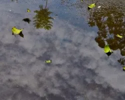 Reflejo Urbano 1